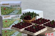 七上九下高速赋能产业升级：一条“杨梅路”的致富密码